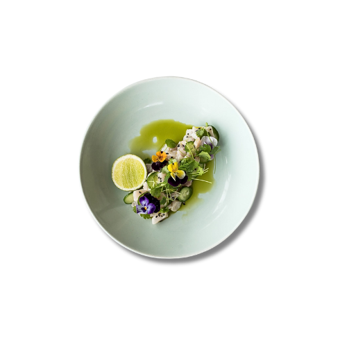 Pinça de Precisão Curva 21 CM